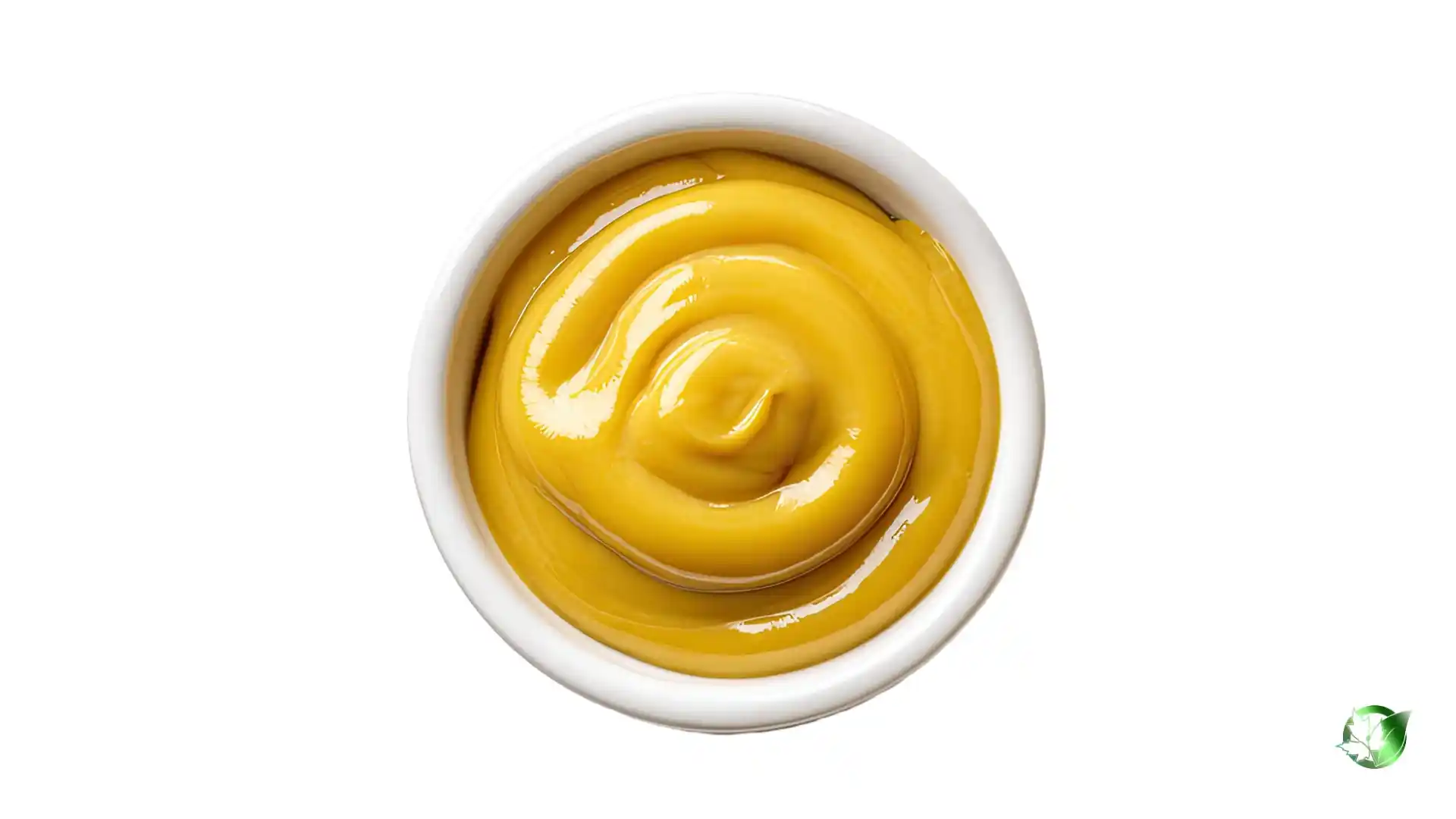 Bulk Mustard Sauce | Suppliers | Wholesale | ParsaFood Global
